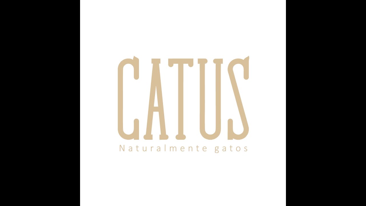 CATUS S.R.L