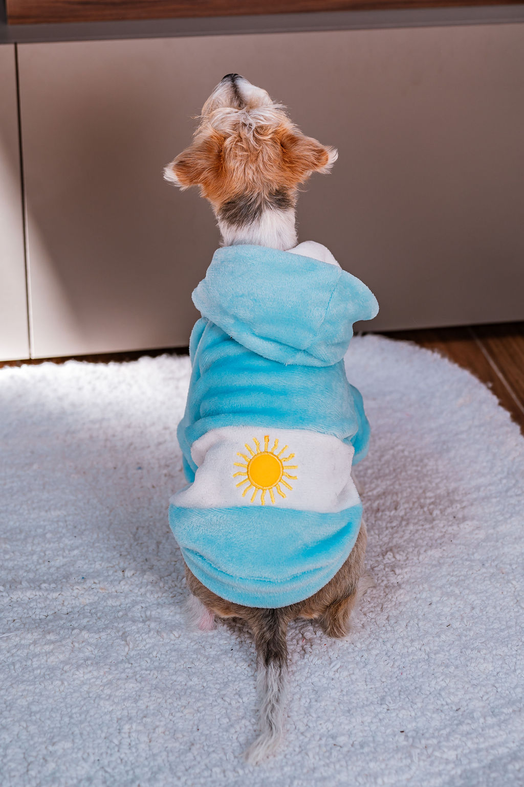 BUZO CAPUCHA POLAR(MUNDI PETS) - Imagen 28
