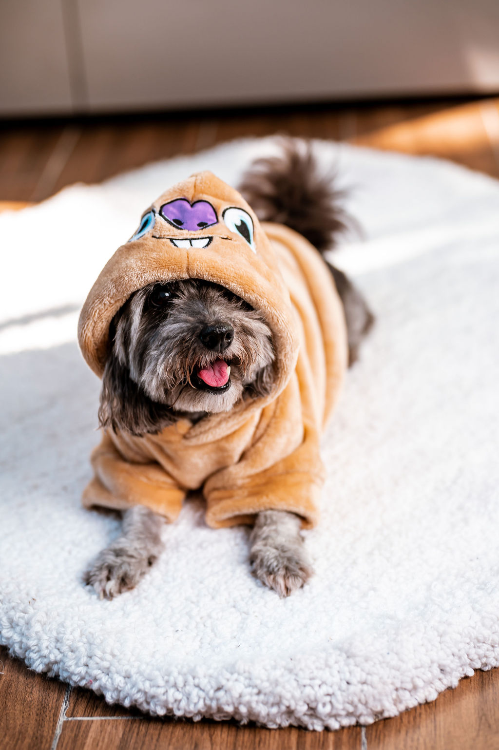 BUZO CAPUCHA POLAR(MUNDI PETS) - Imagen 23