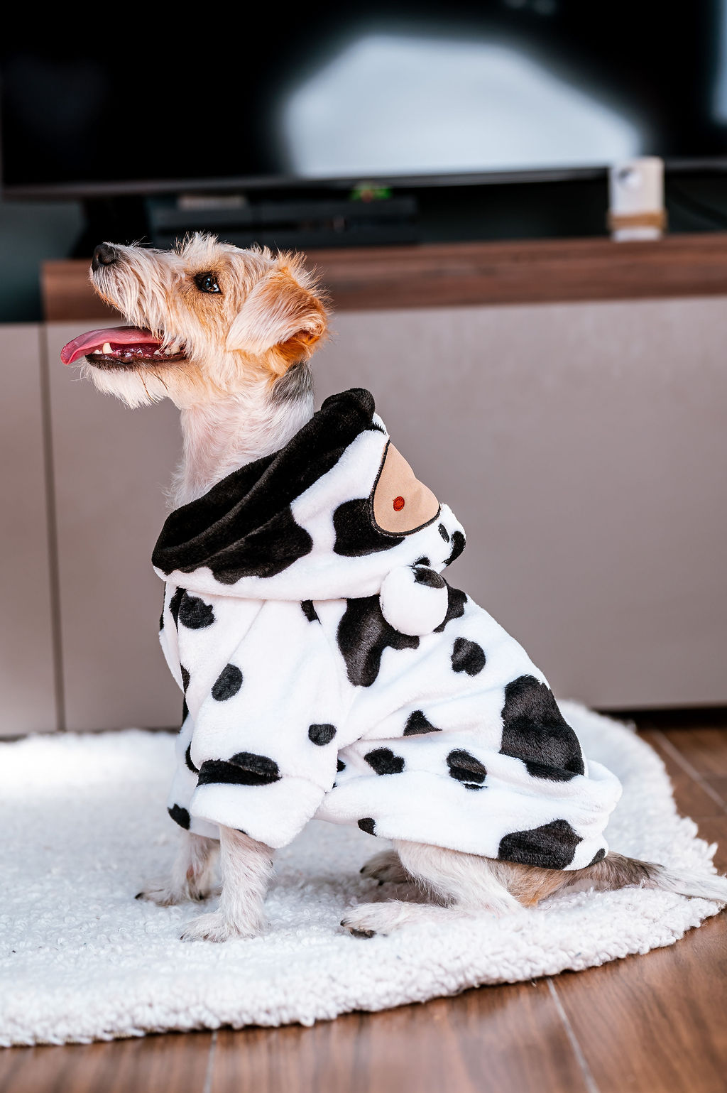 BUZO CAPUCHA POLAR(MUNDI PETS) - Imagen 26
