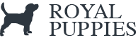 ROYAL PUPPUIES