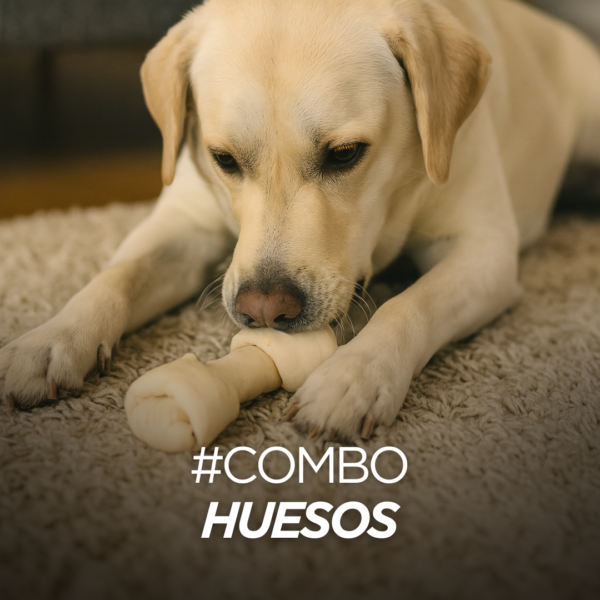 Combo Huesos