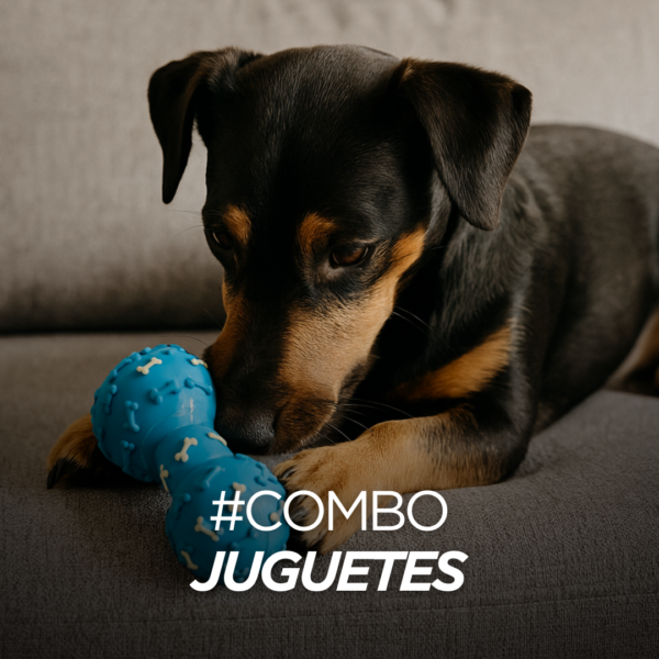 Combo Juguetes
