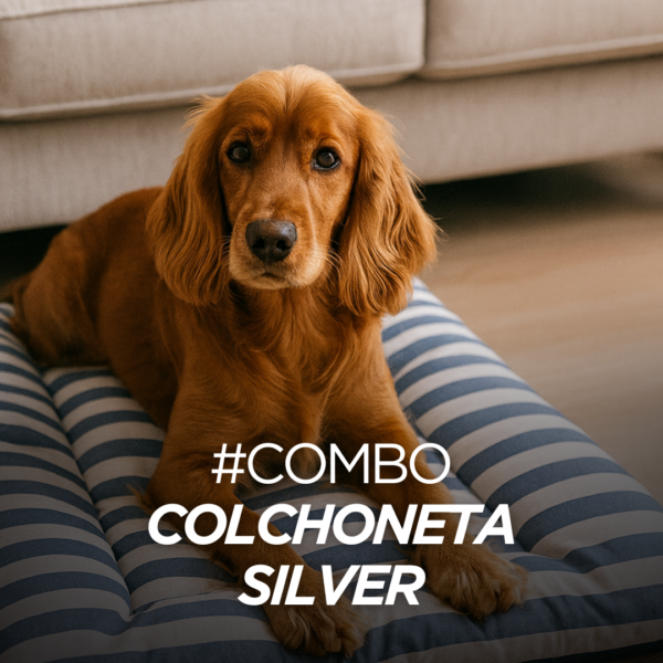 Combo Colchoneta Silver