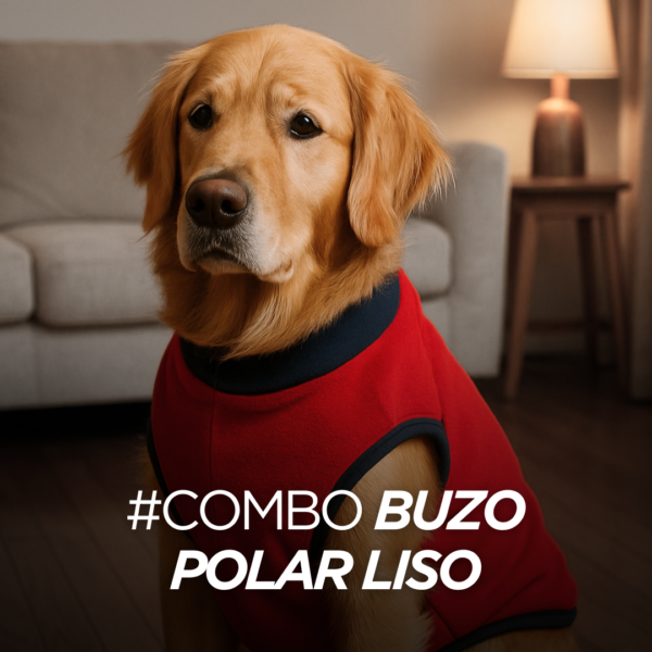 Combo Buzos Polar Liso Vale