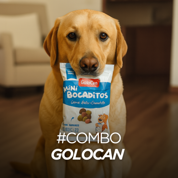 Combo Golocan