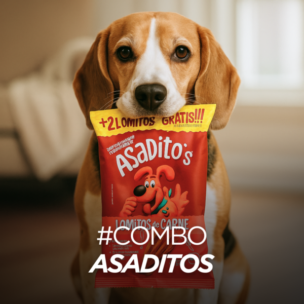 Combo Asaditos