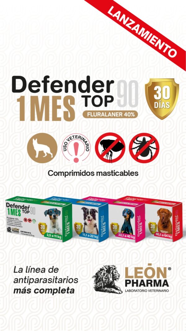 DEFENDER TOP 1 MES