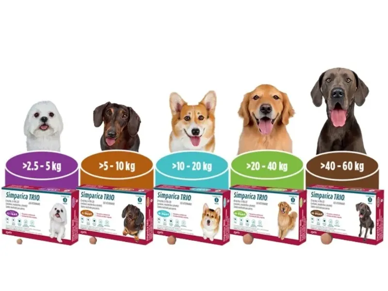SIMPARICA TRIO