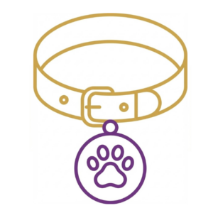 Correas, Collares, Pretales, Arneses