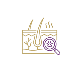 Línea Dermatológica