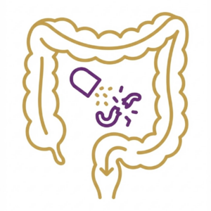 Antiparasitarios Internos