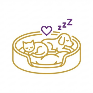 Colchonetas y Moises