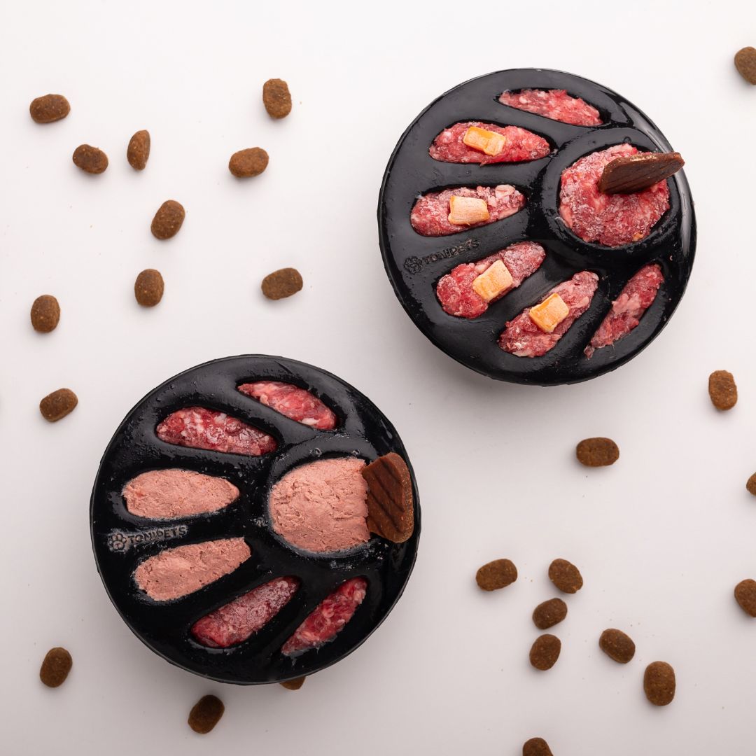 COMEDEROS INTERACTIVOS TONIPETS - Imagen 4