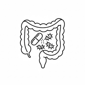 Antiparasitarios Internos
