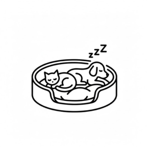 Colchonetas y Moises