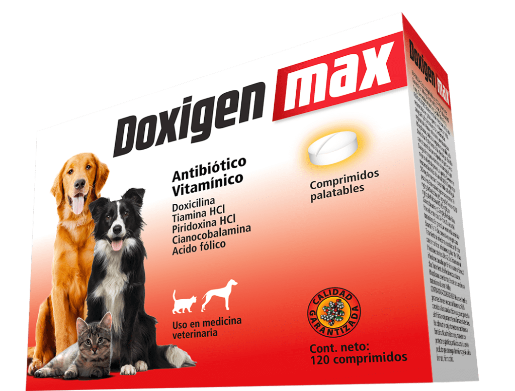 DOXIGEN MAX (DOXICILINA)