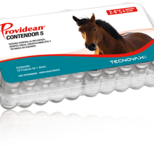 PROVIDEAN CONTENDOR 5