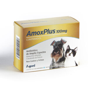 AMOX PLUS